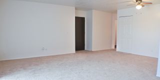 Ambassador Arms Gallery 20