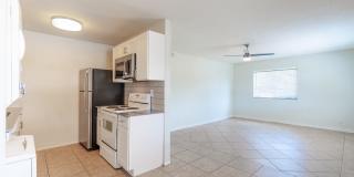 Rise at the Palms Gallery 51