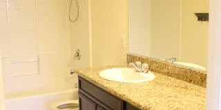 SHOWINGS AVAILABLE NOW Gallery 40