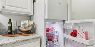 The Paxton Gallery 10