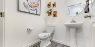 Cottonwood Hollow Gallery 30