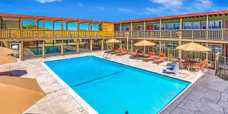 Pacific Pines Gallery 1