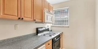 Treehaven Apartments Gallery 16