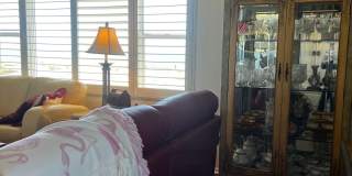 2BD/2BA on the Gulf of Mexico! Gallery 6