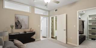 COLE COLE Gallery 15