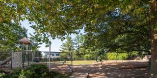 Springfield Gardens Gallery 7