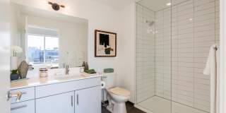 The Carson Gallery 24