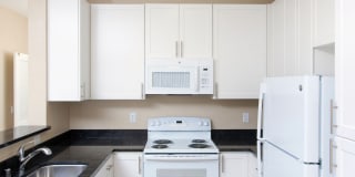 Woodland Meadow Gallery 14