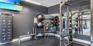 Ovation 309 Gallery 35
