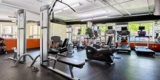 Wheaton 121 Gallery 16