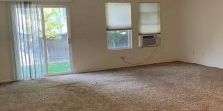 1723 Dove Creek Circle Gallery 5