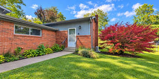 Black Mountain Apartment- Great Yard Space- Water and Lawn Care Included! Gallery 1