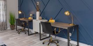 Nora 3200 Apartments Gallery 13