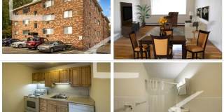 Fantastic Apt near BU and Packards Corner!  $500 rebate with promo.  HW Floors, Dishwasher Gallery 4