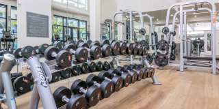 The Willows Gallery 6