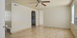 Pine Lake #21 Gallery 1