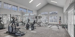 Renaissance Gallery 13