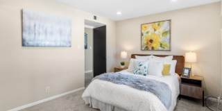 6258 Camino Verde Drive Gallery 2