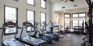 Spark Bloomfield Spark Bloomfield Gallery 4