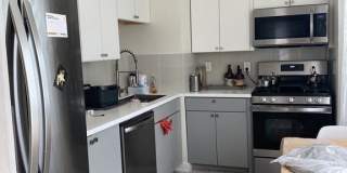 4 Woodbine St. 2 Gallery 7