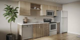 Adara at Seatac Gallery 1