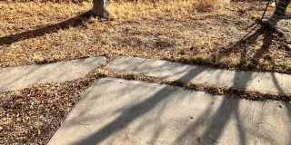 1316 Poplar Drive #4 Gallery 5
