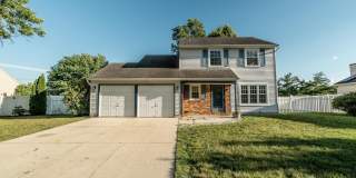 10 HONEY LOCUST Gallery 1