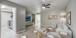 Ashford Buena Vista Gallery 4