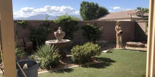 78989 Apricot Lane Gallery 12