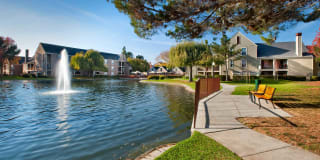 Riva Terra Apartments at Redwood Shores Gallery 71