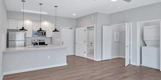 The Penny at Jackson Ward The Penny at Jackson Ward Gallery 19