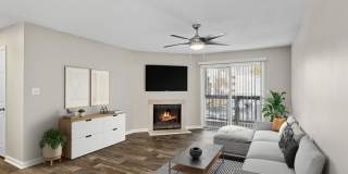 Element 41 Gallery 1