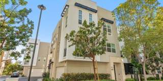 2208 Synergy Gallery 21