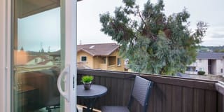 Solis Garden Gallery 6