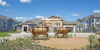 Chisholm Trail Decatur Gallery 17