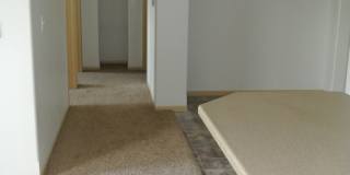 1900 Building Gallery 8