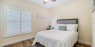 2339 DATURA STREET Gallery 19