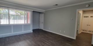 The Pines Apartments Gallery 10