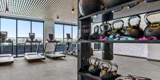 Aura Arts District Gallery 5