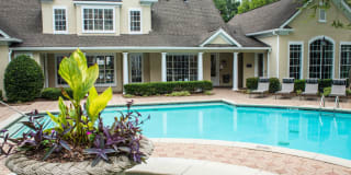 Paces Park Gallery 11