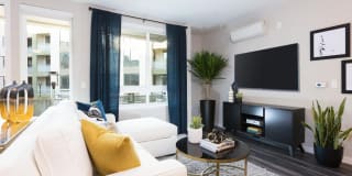 The Standard The Standard Gallery 29