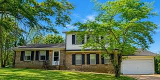 339 Desiree Drive Gallery 1