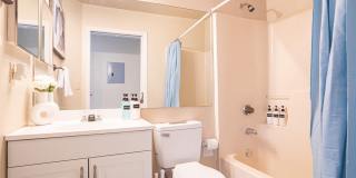 3204 SABAL PALMS COURT Gallery 14