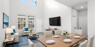 2017 Cassandra Street Gallery 3
