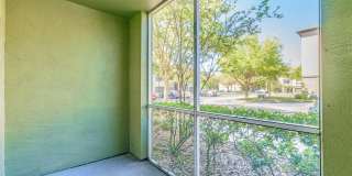 13015 SANCTUARY COVE DRIVE Gallery 23