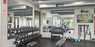 Alinea at Town and Country Gallery 38