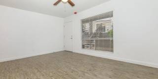 Treehouse Apartments Gallery 11