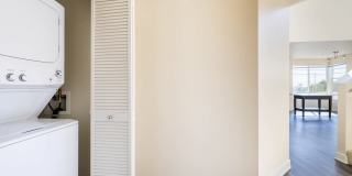 The Kelvin Gallery 25
