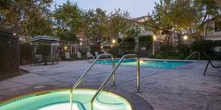 Alderwood Park Gallery 6