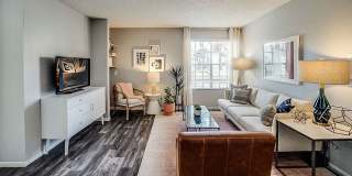 Bella Solara Gallery 25